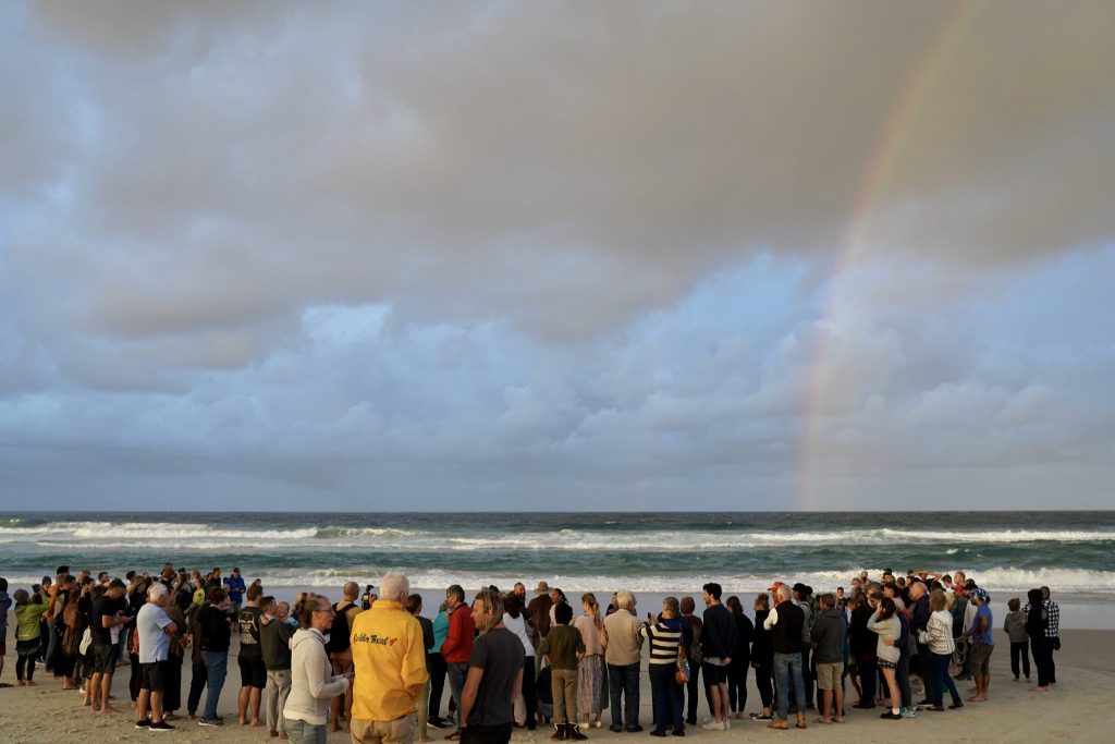 Record Season for Nesting Sea Turtles