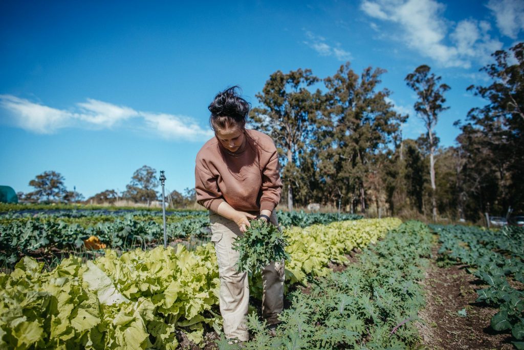 Homegrown Organics from the Masters of Fresh