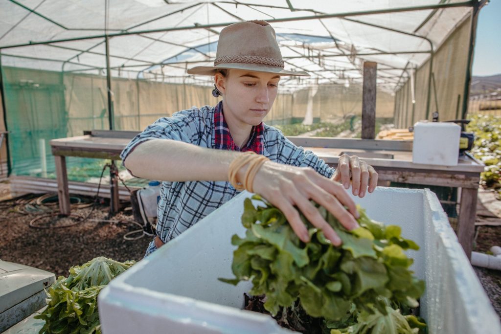 Homegrown Organics from the Masters of Fresh