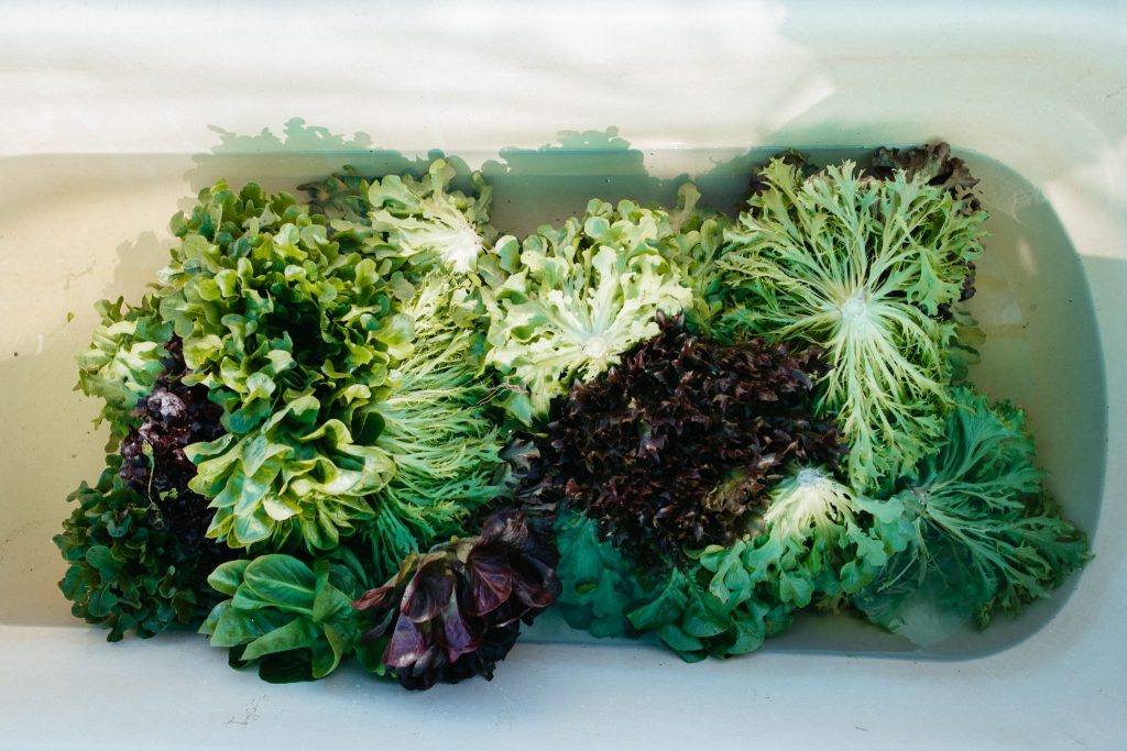 Homegrown Organics from the Masters of Fresh