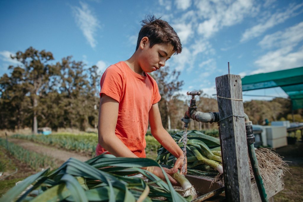 Homegrown Organics from the Masters of Fresh