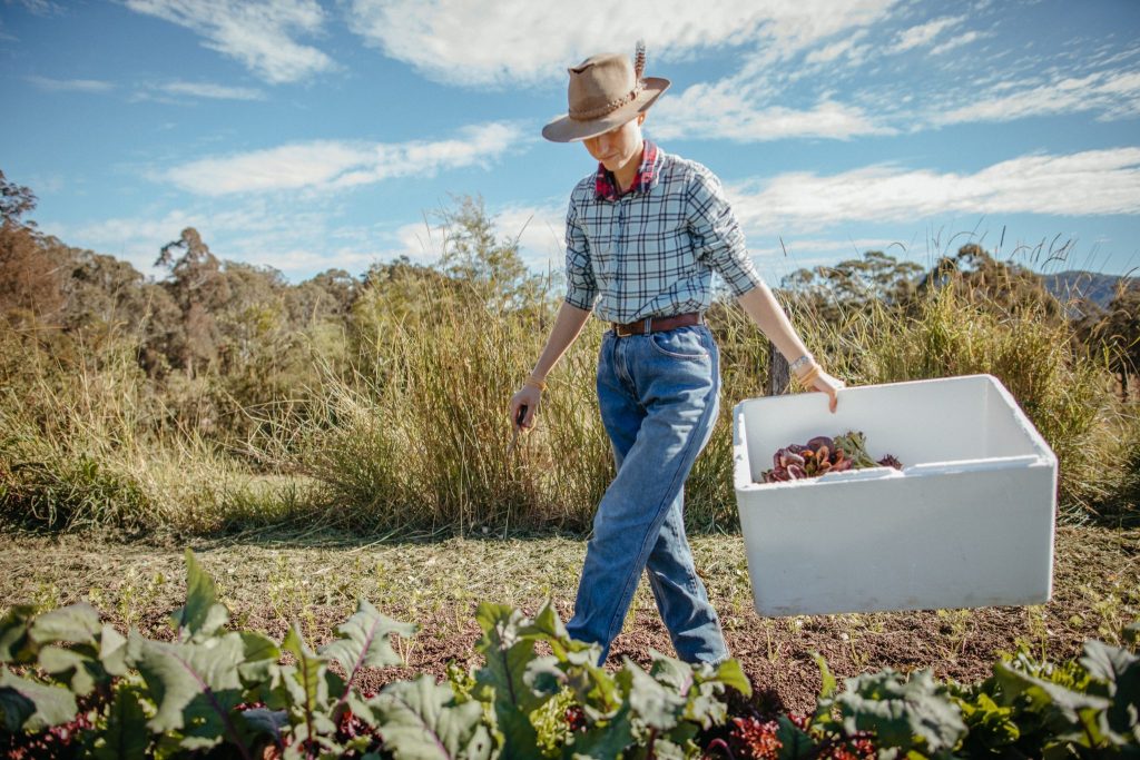 Homegrown Organics from the Masters of Fresh