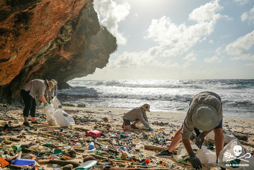 People collecting plastic waste on a beach