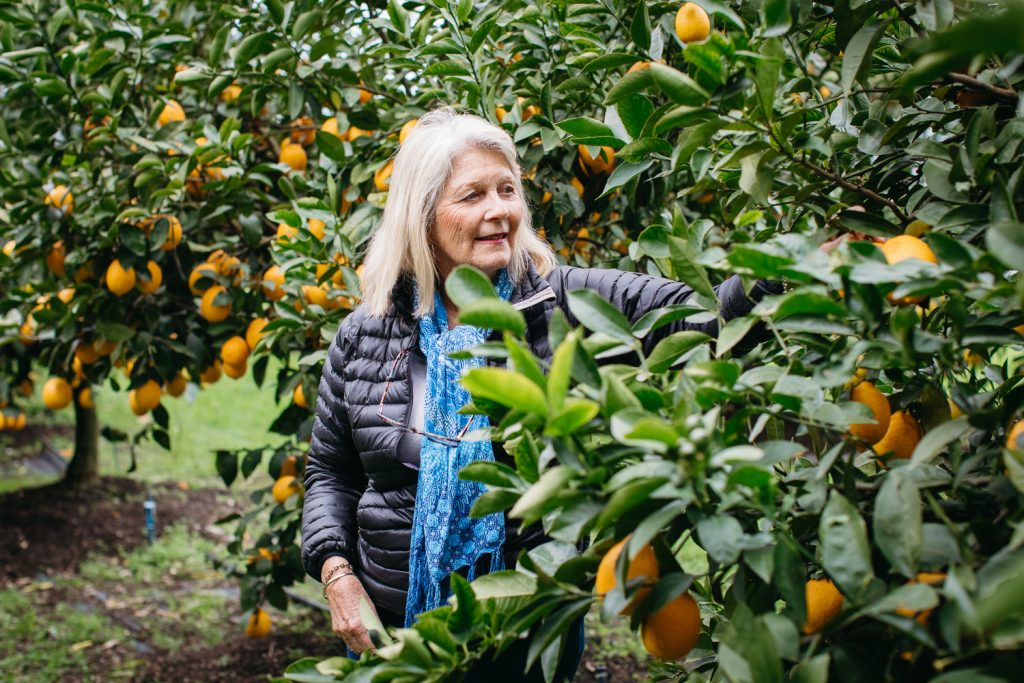 A woman looks up at a circus fruit salad tree