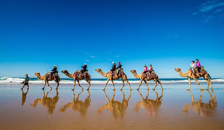 Port Macquarie School Holiday Fun