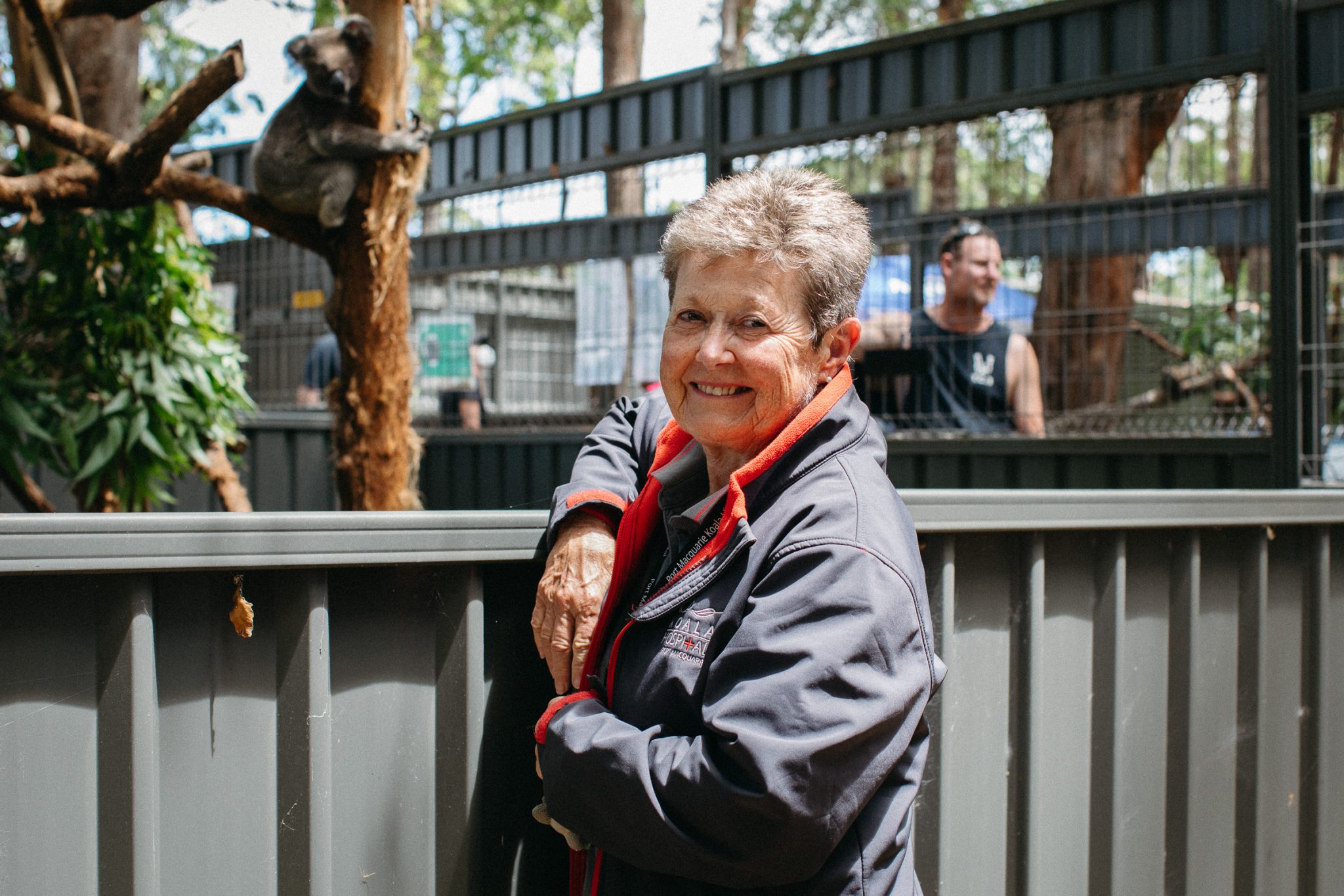 Sue Ashton – Koala Ambassador