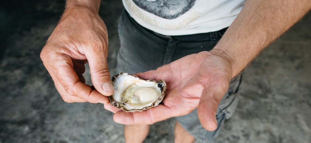 Renowned Nambucca River oyster